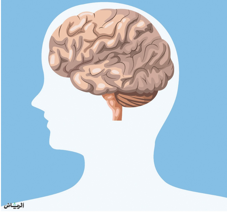 ذاكرة الإنسان عملية معقدة